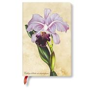 Painted Botanicals Brazilian Orchid Mini