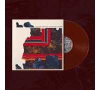 Painted Ruins [輸入盤 / 2LP] (WARPLP410RO)_2392 [Analog]