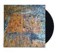 Painted shield - Painted shield