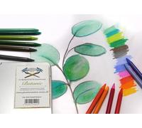 Paintersisters Lot de 12 crayons de couleur pastel sans bois - Dans boîte en métal - Crayons de couleur effaçables pour dessin, peinture, croquis (botanique)