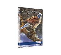 Painting Birds With David Hyde - The Kestrel DVD