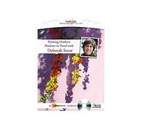 Painting Outdoor Shadows in Pastel with Deborah Secor DVD