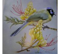 Painting Songbirds with Sherry C. Nelson: 15 Beautiful Birds in Oil