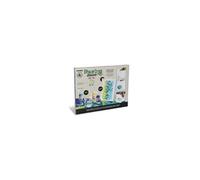PAINTSET3 peinture pour loisir Peinture acrylique 100 ml 7 pièce(s)