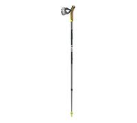 Leki Bâtons de marche nordique Traveller FX One Carbone bleu marine/gris 125 cm (paire)