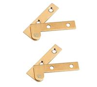 Paire de charnières à bras avec articulation à vue en laiton 50 mm x 10 mm.