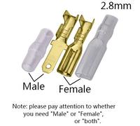 Paire De Patins À L'ancienne,100,2.8,4.8,6.3,Mm - Type Golden 2.8mm Sheath-100pcs Female