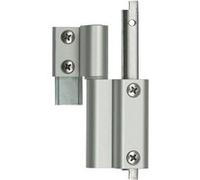 Paire de paumelle centrale Galicube FAPIM NJ aspect inox - 1409A_NJ