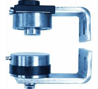 Paire de Pivot Ø 50 en acier bichromaté réglable 25052 à visser MANTION - 25052