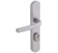 Vachette Poignée de Porte sur Plaque Sécumax One - Version Clé I, Entraxe 195 mm - Pose Facile - en Aluminium - Protecteur de Cylindre Inox Ajustable de 5 mm - Anodisé Argent - Garantie 10 Ans