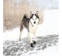 Paire de protège-pattes pour chien Trixie Walker Active Noir L