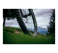 Mavic E-deemax S 29´´ Boost 6b Disc Tubeless Mtb Wheel Set Argenté 15 x 110/12 x 148 mm / Sram XD Black / White