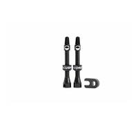 Paire de valves tubeless CushCore Noir