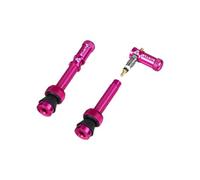 Paire de valves tubeless granite design juicy nipple 45 mm avec bouchons demonte obus rose