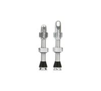 Paire de valves tubeless hope argent