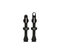 Paire de valves tubeless hope noir