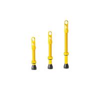 Paire de valves tubeless syncros presta gold
