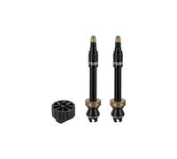 Paire de valves tubeless topeak turboflow noir