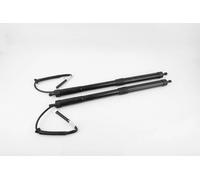 Paire De Vérins Hayon Électriques 6892012010 Pour Corolla UKP 2019 2020 2021 2022 Tige de support de levage amortissante