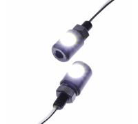 Paire De Vis Avec Lumière D'Plaque Intégrée JMT Mini LED M6 705.33.09 Universels