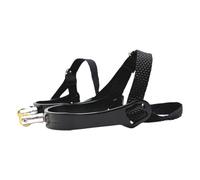 Paire d'éperons pour chaussures d'équitation avec corps en alliage et sangles d'éperon, accessoire d'équitation arrondi pour entraînement de cheval, promenades de cours et travail quotidien