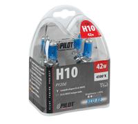 Paire Lampes Ampoules H10 42W Halogène Bleu-Xe Pour Auto Moto Lumière Très Blanc