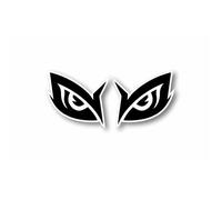 Paire yeux Autocollant sticker vinyl casque voiture moto r5