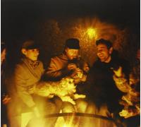 Paisley Doug - Golden Embers