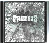 Paisleys - Cosmic Mind At Play