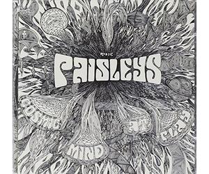 Paisley'S - Cosmic Mind at Play [Import]