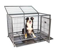 Cage Pour Chien Intérieur Et Extérieur Mouvedyxl, 123x79x84cm, Caisse De Transport, Roues Verrouillables, Pliable, 2 Portes, Plateau Amovible, Paitsy