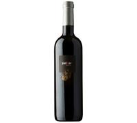 Paixar 2022 - Bodega y Viñedos Luna Beberide