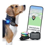 PAJ Traceur GPS 4G Mini + LED pour Petits Chiens, INCL. 3 Mois