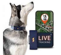 PAJ Traceur GPS 4G pour Chiens, INCL. 3 Mois Abonnement Premium