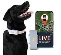 PAJ Traceur GPS 4G pour Chiens, INCL. 3 Mois Abonnement Premium