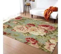 PAJEON Tapis de Salon Vintage Printemps Rose Floral Rose Fleur Jardin, 160 x 230 cm Entretien Facile Intérieur Moquette, Écologique Paillasson Intérieur - pour Chambre d'enfant