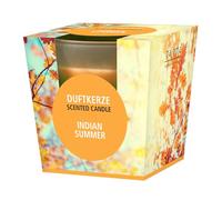 pajoma® Bougie parfumée Indian Summer Dans un verre satiné | Poids de cire 120 g Durée de combustion : 25 heures Dans un élégant emballage cadeau | Qualité supérieure