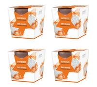 pajoma® Lot de 4 bougies parfumées orange cannelle Dans un verre satiné | 4 x 120 g de cire | Durée de combustion : 25 heures | Dans un élégant emballage cadeau | Qualité supérieure