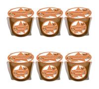 pajoma® Lot de 6 mini bougies parfumées à la vanille et à la cannelle - Édition de Noël - Poids de cire : 45 g - Durée de combustion : 10 heures - Dans un élégant emballage cadeau - Qualité supérieure