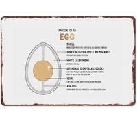 PAJPXPCD Anatomy of an Egg Educational Metal Sign Wall-Art 8 X 12 in