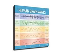 PAJPXPCD Brain Waves Chart EEG Frequencies Educational Wall-Art 5 Types Alpha Beta Theta Delta Gamma Psychology Neuroscience Study Classroom Office Decor(Unframed,12X18inch(30X45cm))