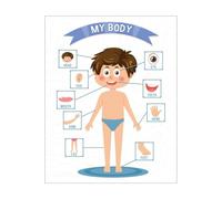 PAJPXPCD Educational Bilingual Poster - My Body Parts in English & Spanish, Visual Learning Aid for Preschool, Kindergarten, Dual Immersion or Homeschool Setup(Unframed,08x12inch(20x30cm))