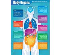 PAJPXPCD Human Body Organs Anatomy Poster Biology Science Classroom Decor Educational Wall Chart for Middle High School Homeschool(Unframed,16x24inch(40x60cm))