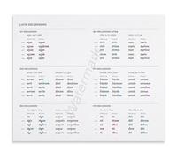 PAJPXPCD Latin Language Learning Poster Grammar Declensions and Cases Chart Noun Endings Educational Canvas Wall-Art for Students Study Room Classroom(Framed,12x18inch(30x45cm))
