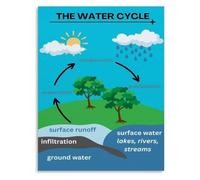 PAJPXPCD Science Water Cycle Poster Ecosystem Interaction Education Tool | Explains how forests wetlands and deserts influence local rainfall and humidity patterns(Unframed,16x24inch(40x60cm))