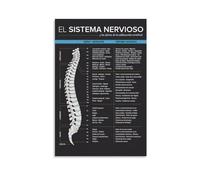 PAJPXPCD Spinal Nerve Function Chart Vertebral Subluxation Guide Educational Anatomy Poster for Clinic Office Decor(Unframed,08x12inch(20x30cm))