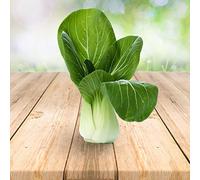 Pak Choi 250 x graines - Du Portugal 100% Naturel Sans Aide à La Culture Chimique Ni Génie Génétique, Juste de la Nature Pure