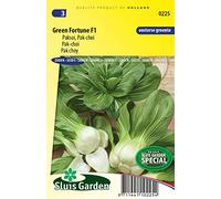 Pak-choi Green Fortune F1 - Légumes orientaux