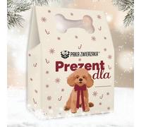 Paka Zwierzaka Coffret de Noël pour chien