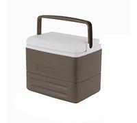 PAKEY Mini Fridge 8.5L Portable Compact Fridge with Handle for Food Beverage Skin Cares Cooler Perfect for Car Bedroom Outdoor Camping Fishing